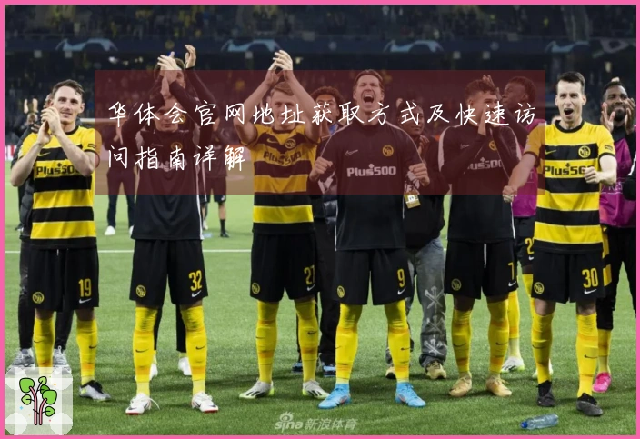 华体会官网地址获取方式及快速访问指南详解