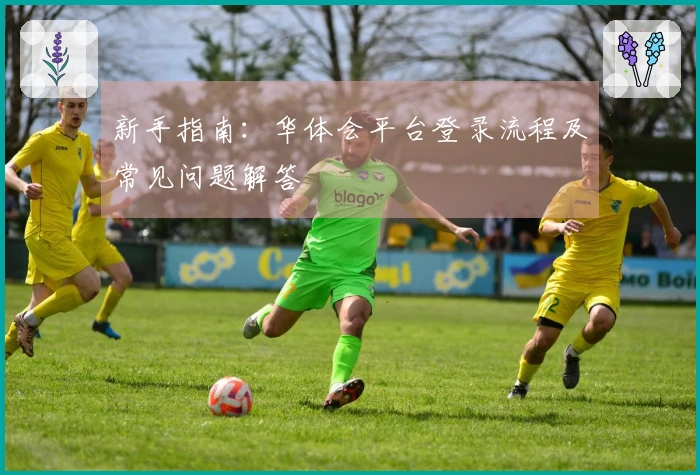 新手指南:华体会平台登录流程及常见问题解答